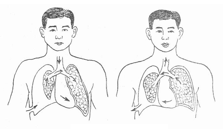 开放性气胸和血胸的介绍