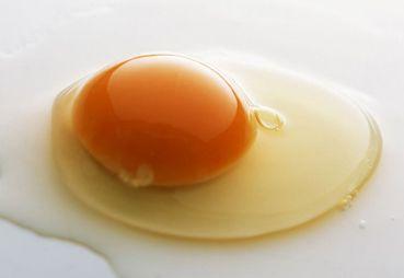 男性高血压可以吃鸡蛋吗 吃鸡蛋有什么好处