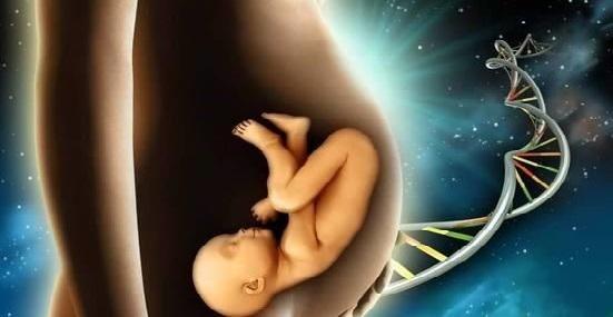 天府新孕妈做无创DNA价格是多少?