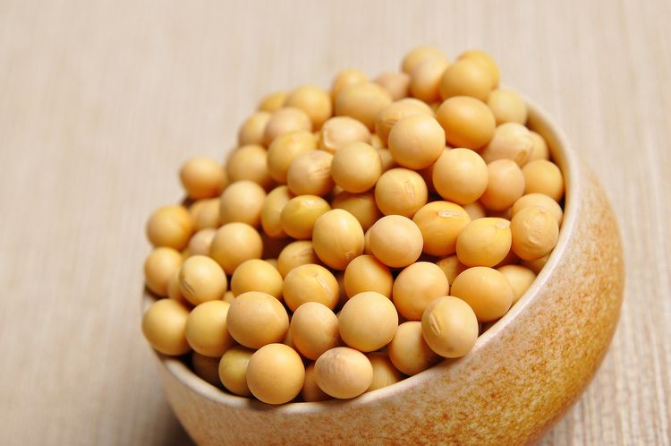 黄豆为什么能预防宫颈癌？