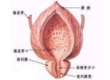 前列腺结核与阴茎结核，诊断依据与治疗方法介绍！