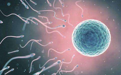 弱精症：精子的活动能力关系到男性的生育问题