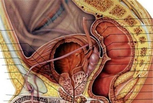 前列腺肥大的影响是什么？前列腺肥大护理措施有哪些？