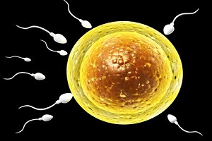 关于男人精子你都了解什么？如何提高精子质量你知道吗？