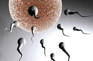 男性精子少原因到底是什么呢？5个原因导致男性无精子