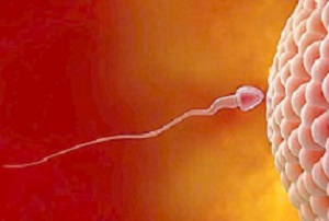 男性精子活力低原因有哪些？这5个因素会降低精子活力！