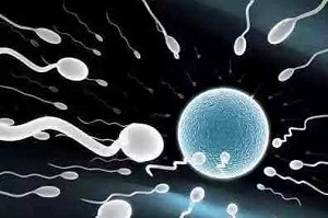 男性精子活力低原因有哪些？这5个因素会降低精子活力！