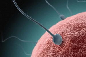 男人的精子怎么算正常？正常精子的辨别！